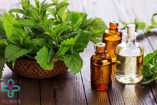 مکمل های گیاهی گوش و حلق و بینی